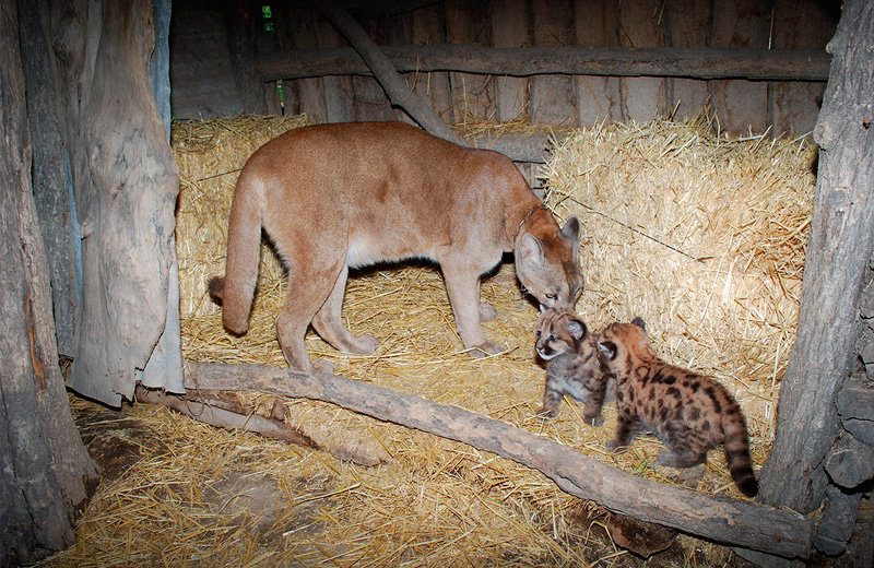 Zoológico de Luján - Buenos Aires