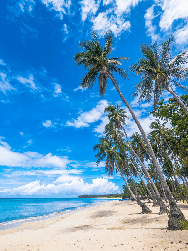 CAPA - Praia mais bonita
