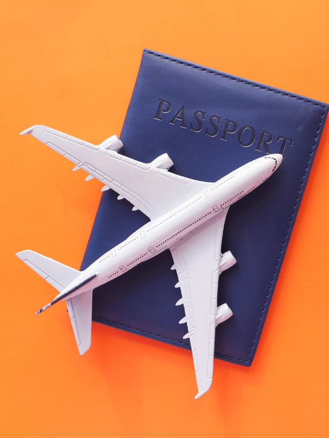 COMO TIRAR PASSAPORTE