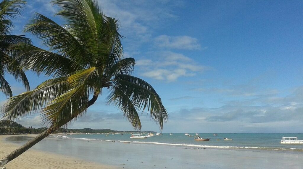 Praia de Maragogi, vista pro mar com coqueiros e vasta faixa de areia.