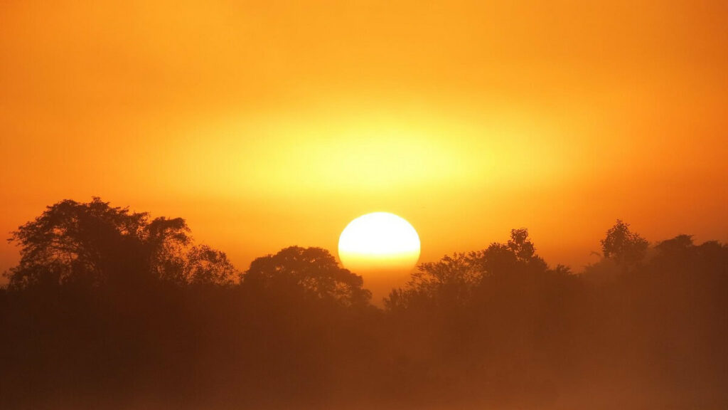 Pôr do sol no Pantanal, em Mato Grosso