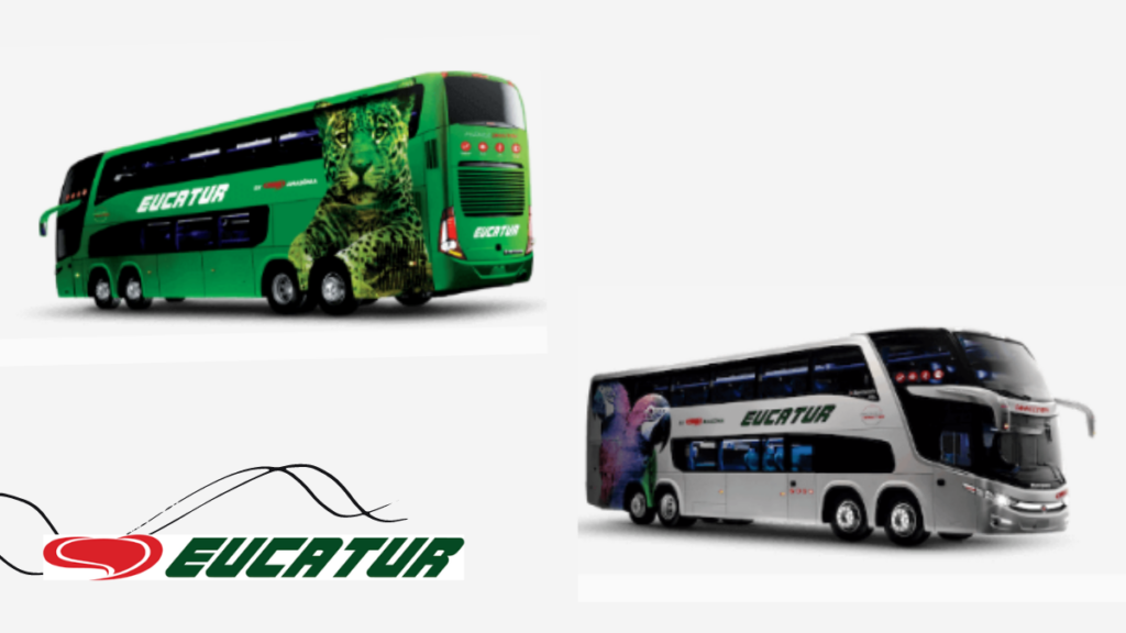 Categorias de ônibus da Eucatur (Cinza e verde)