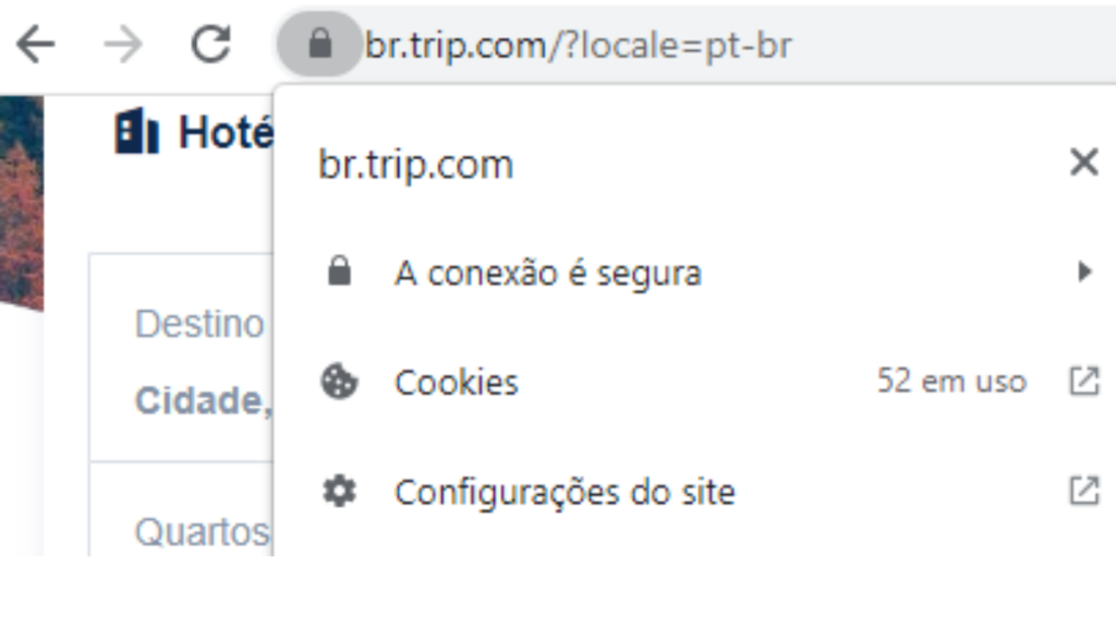 A Trip.com é confiável? Ela possui protocolo Https