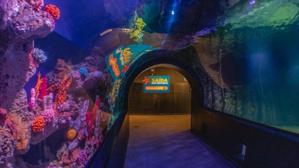 Oceanic Aquarium Balneário Camboriú