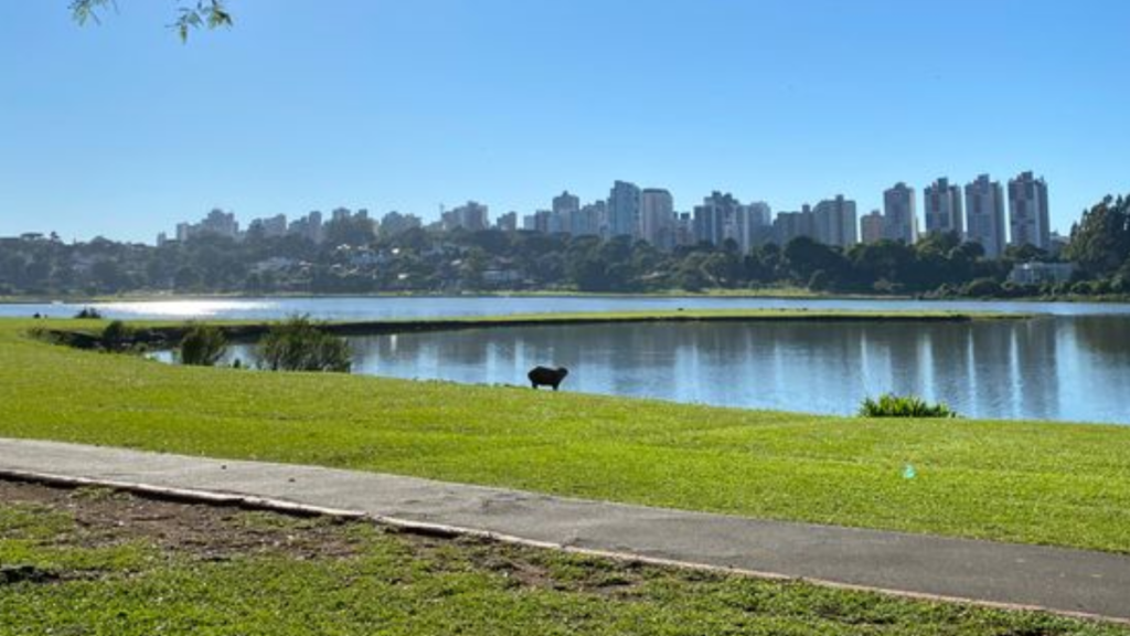 Parque Barigui em Curitiba