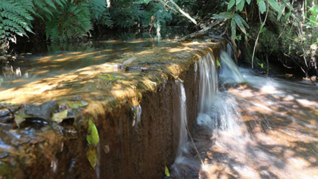 Parque Municipal da Grota Funda