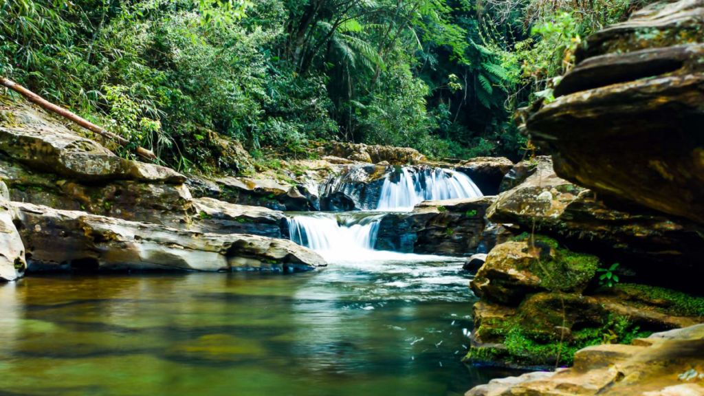 Parque das Andorinhas