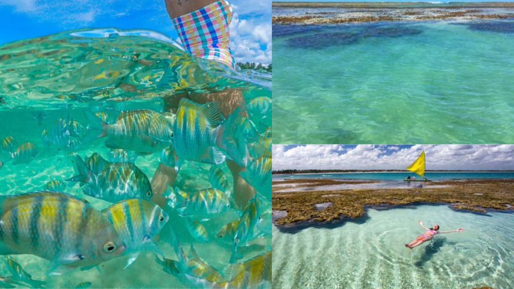 Piscinas Naturais de Maragogi