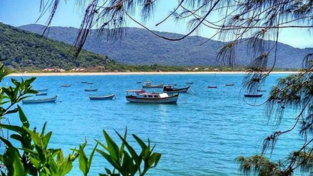 Praia da Armação