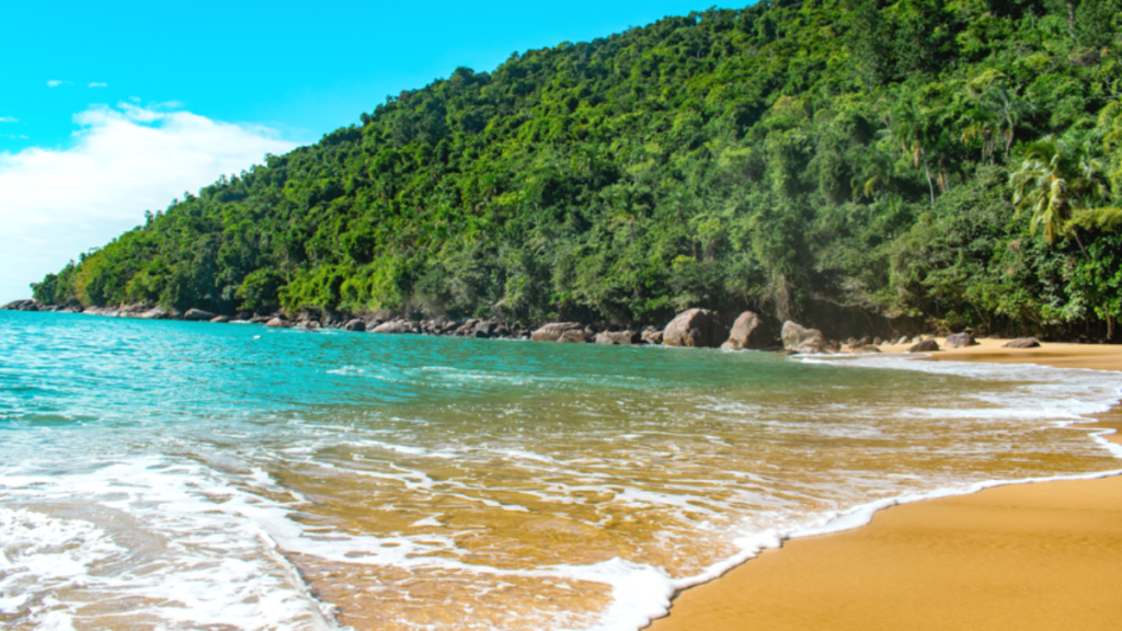 Praia do Cedro
