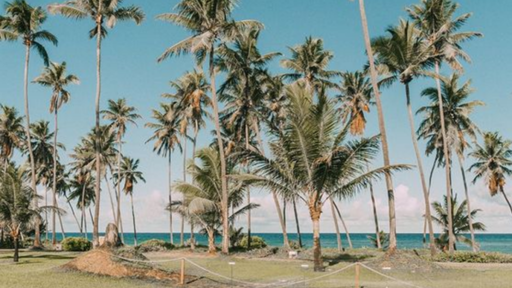 Praia do Forte