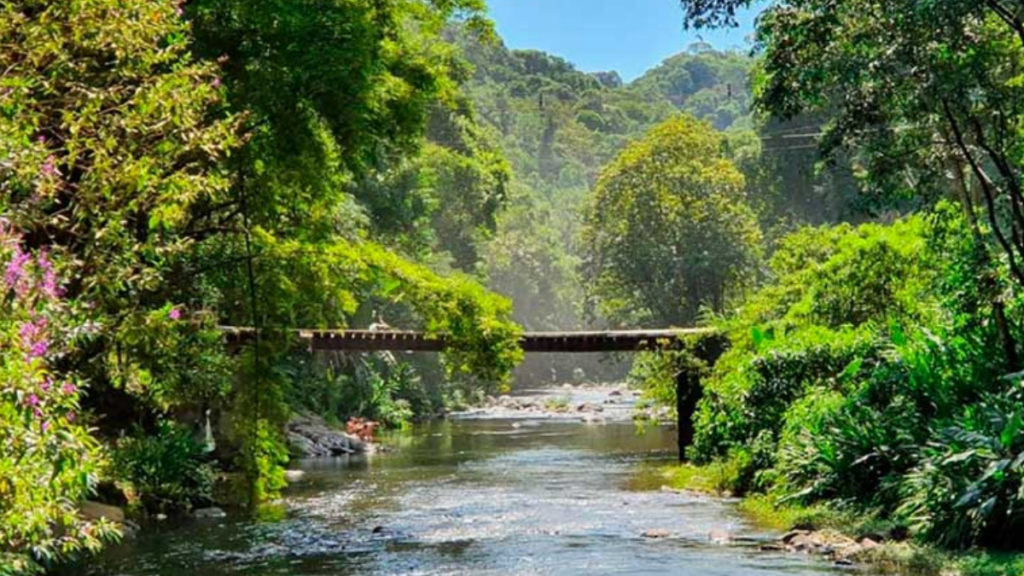 Turismo ecológico em Blumenau