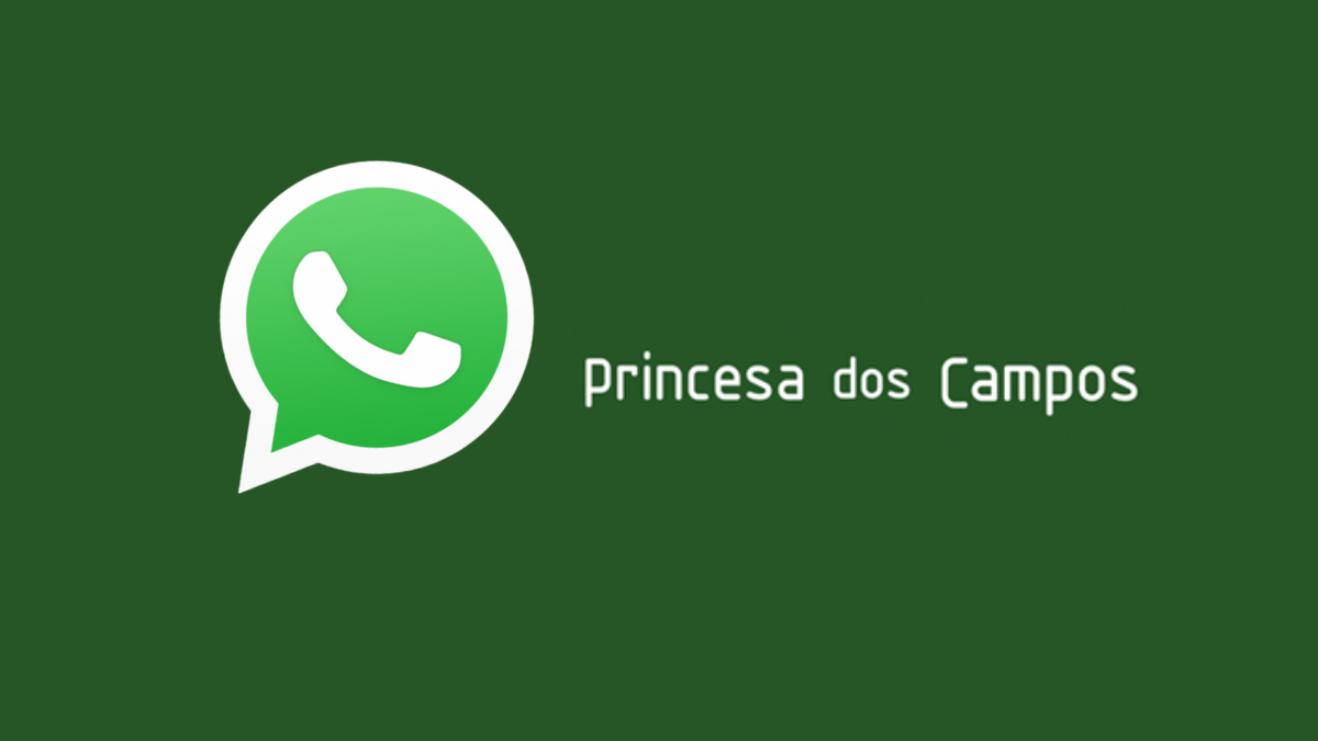 WhatsApp da Princesa dos Campos