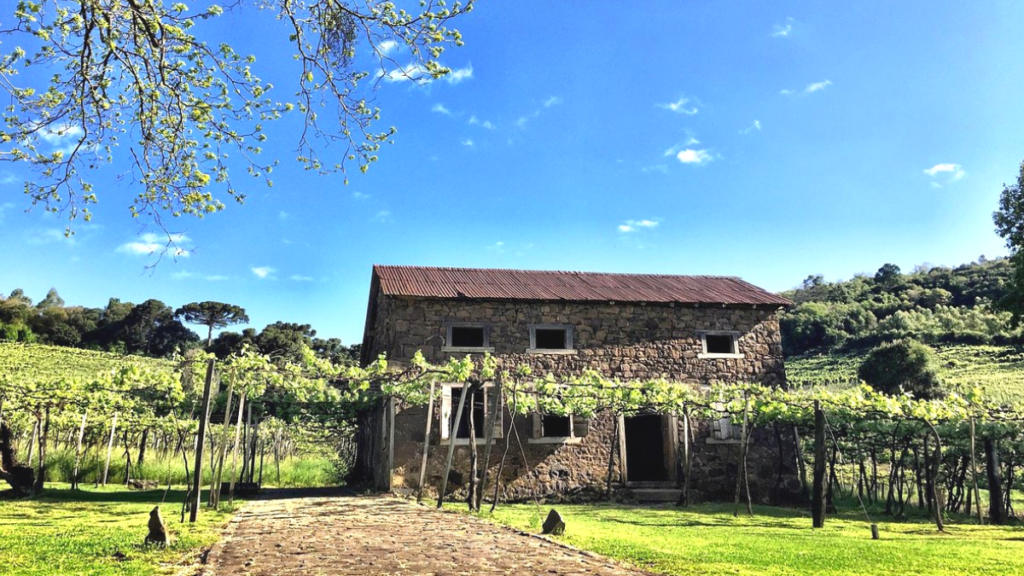 Caminhos de Pedra