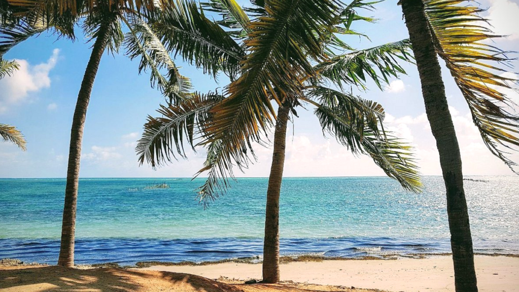 Praia de Ponta Verde