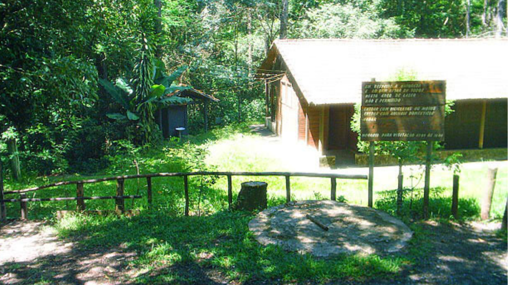 Horto Florestal