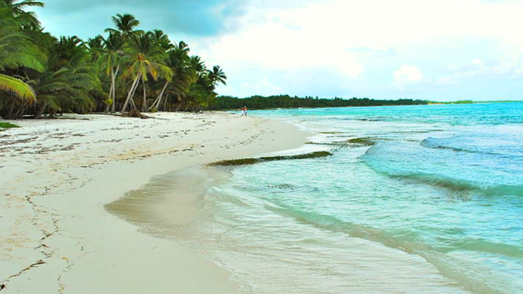 Isla Saona