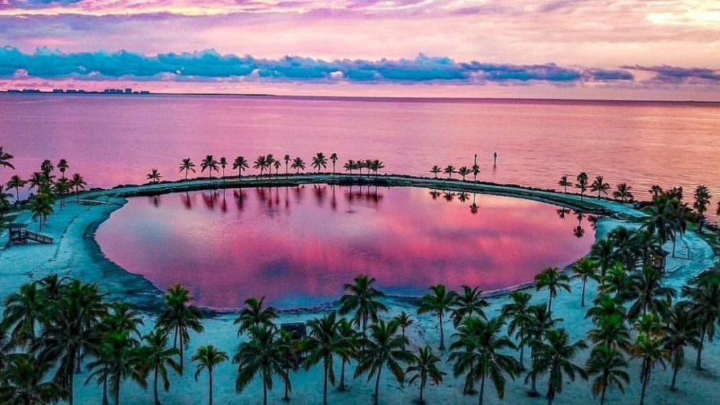Matheson Hammock Park