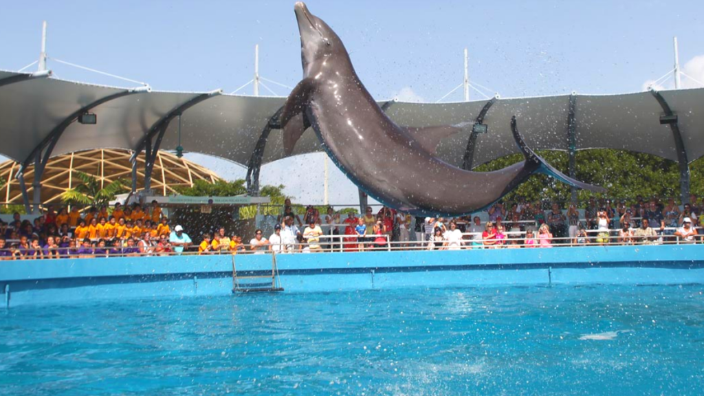 Miami Seaquarium