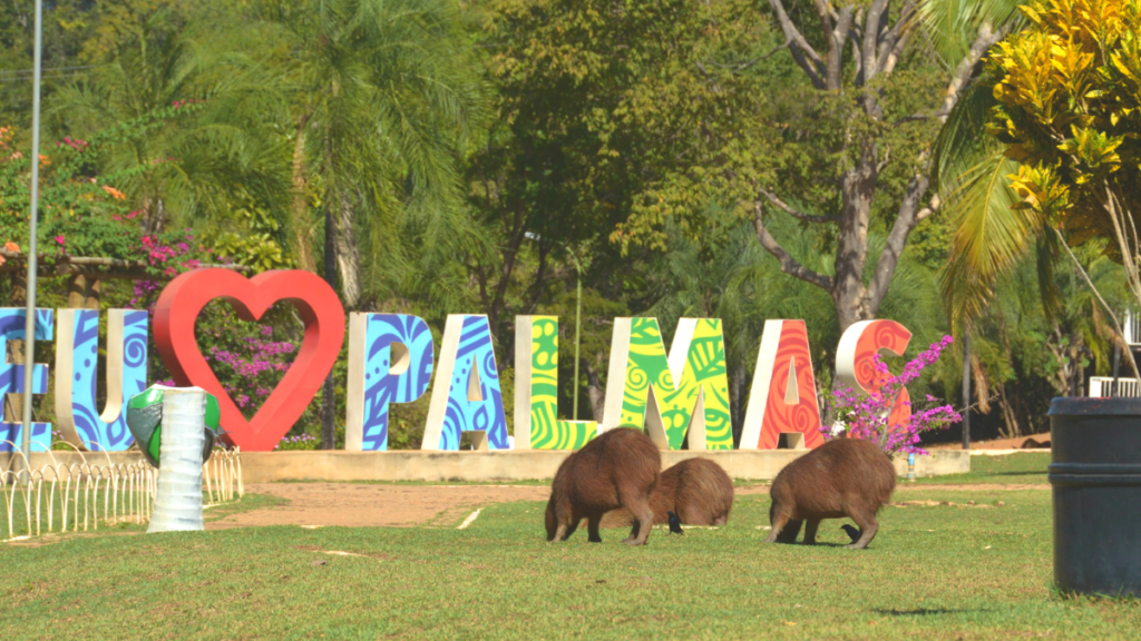 Parque Cesamar