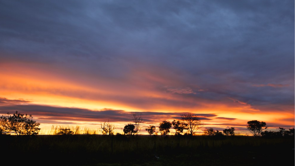 Pôr do Sol no Cerrado