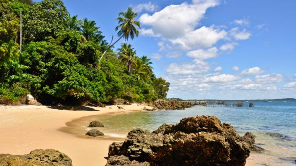 Praia da Gamboa
