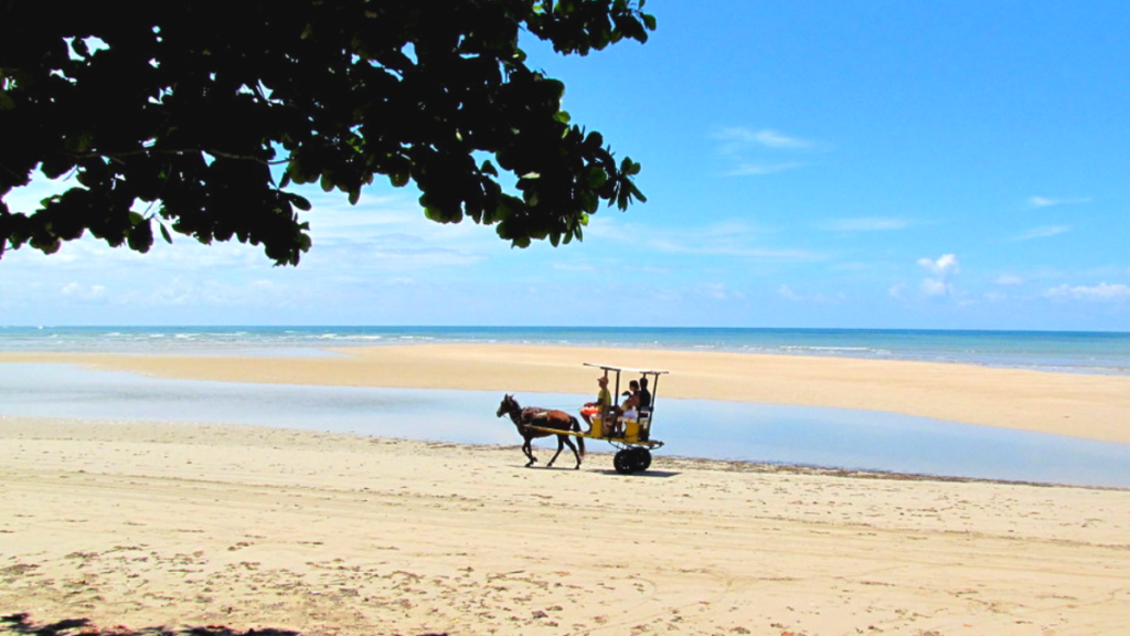 Quinta Praia