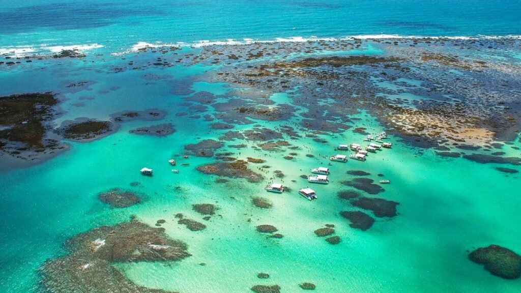 O que fazer em Alagoas?