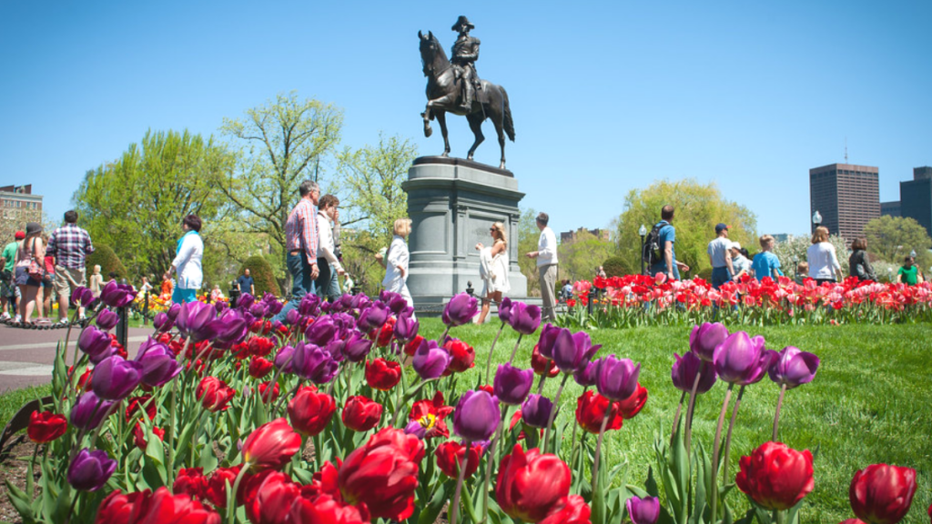 Boston Common