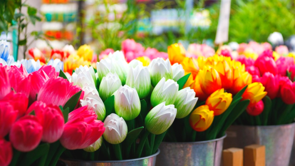 Mercado de Flores tulipas