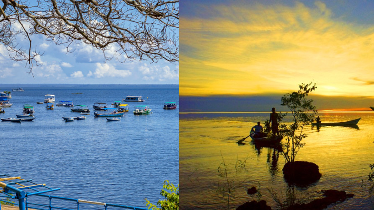 O que fazer em Alter do Chão? Veja