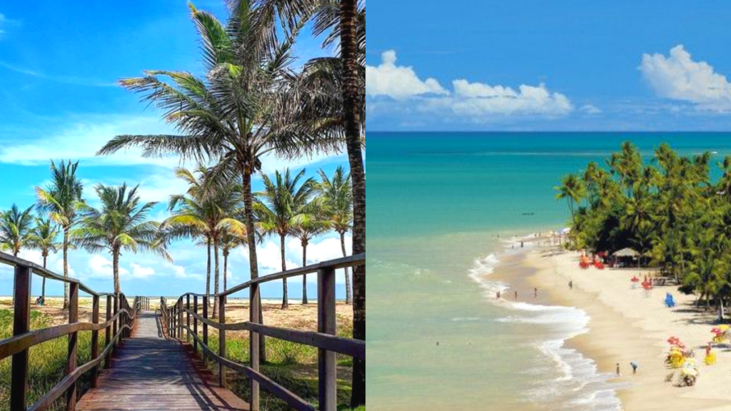 O que fazer em Sergipe? Veja agora