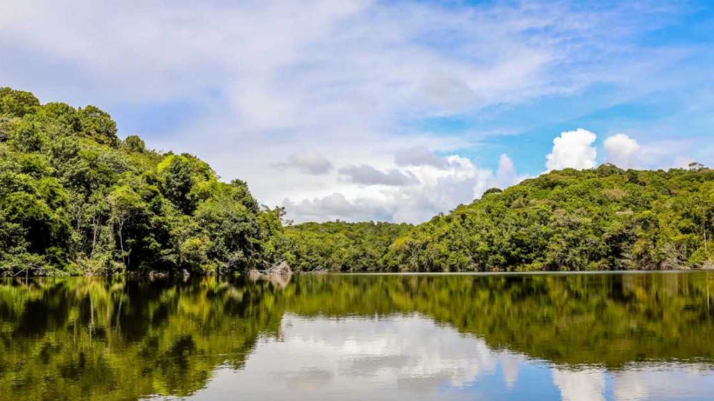 Parque Ecológico Municipal