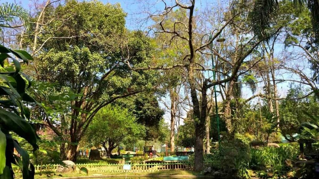 Com muitas visitas, o Parque Santos Dumont é um dos principais pontos turísticas da cidade.