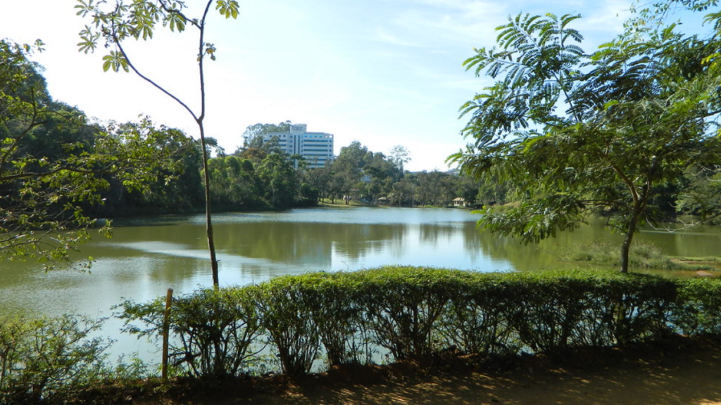 Parque da Lajinha