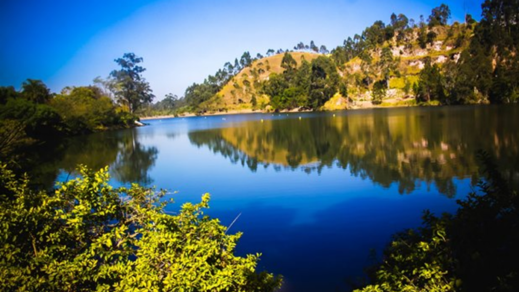 Parque do Lago Francisco Rizzo