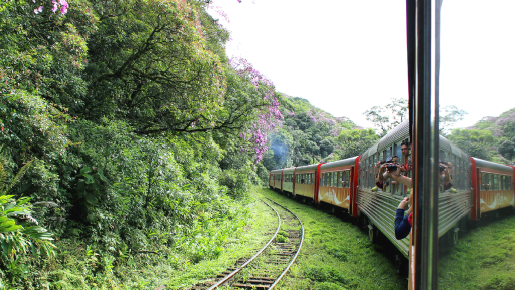 Passeio de Trem