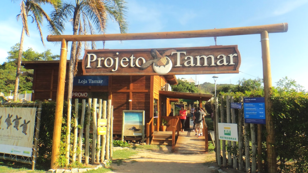 Projeto Tamar