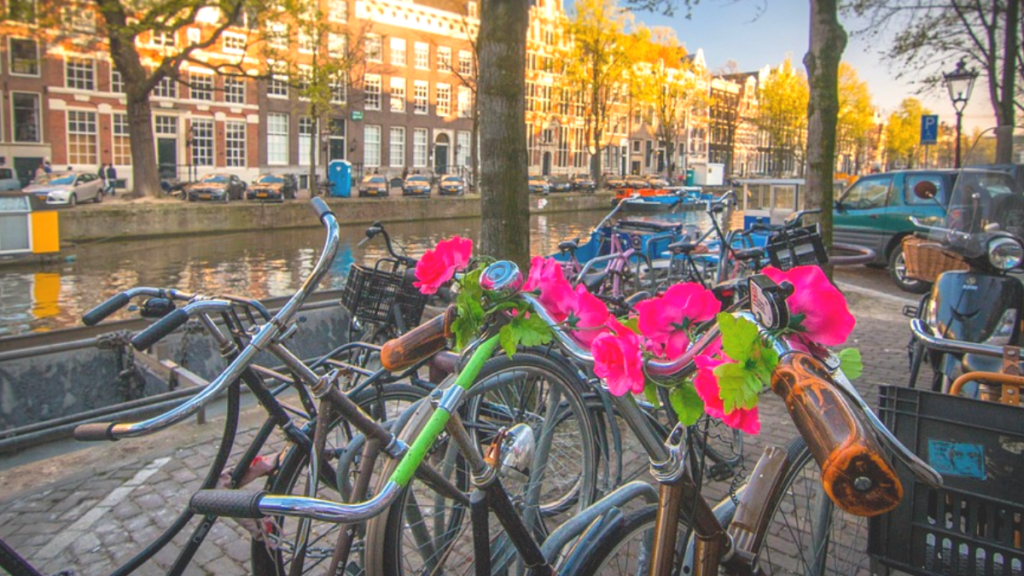 Tour de Bicicleta