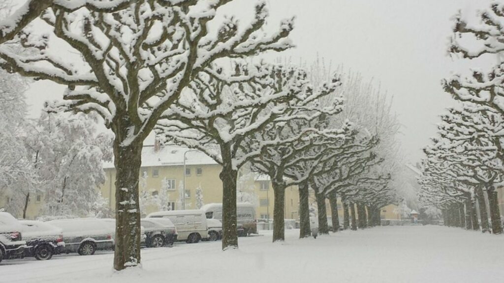 Melhor época para visitar Frankfurt e ver a neve