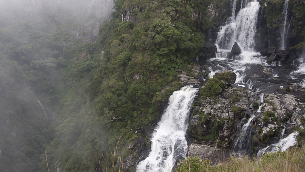 Cachoeira do Tigre Preto
