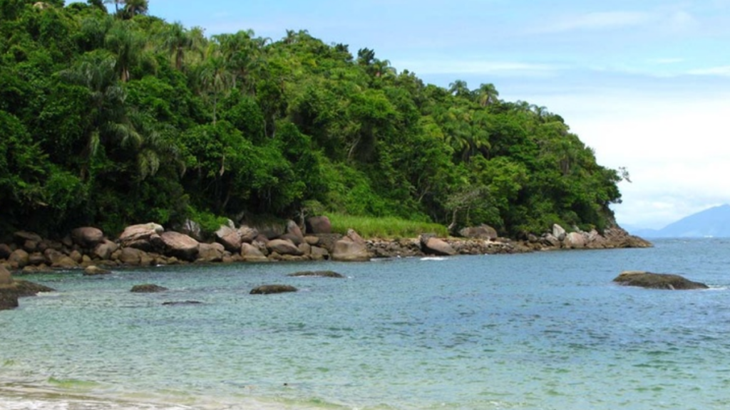 Ilha das Couves