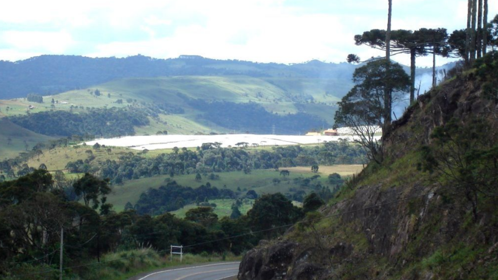 Mirante dos Pinheiros