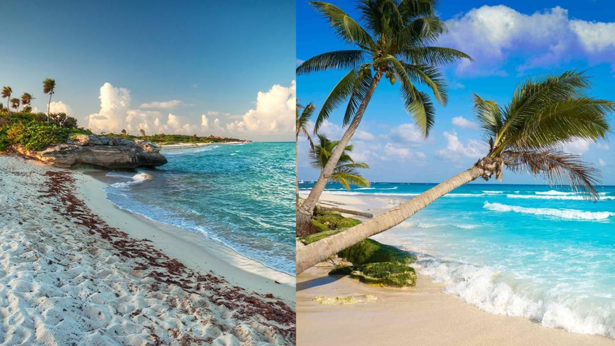 O que fazer em Playa del Carmen? Saiba tudo