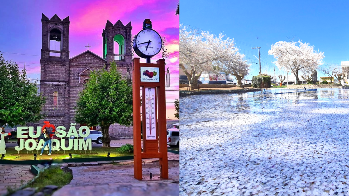 O que fazer em São Joaquim? Veja!