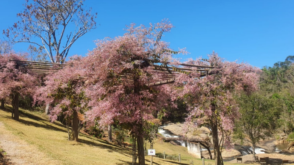 Parque Natural Terra das Cachoeiras