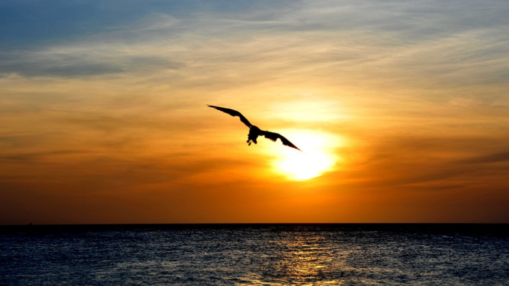 Pôr do sol em Aruba