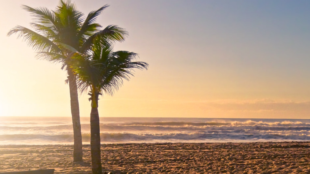 Praia Brava