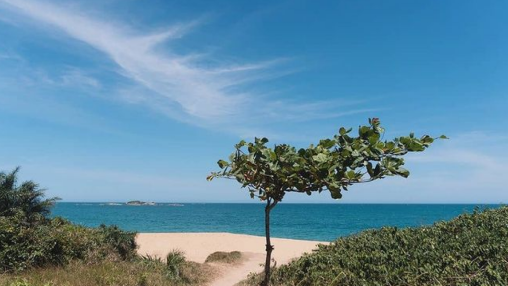 Praia Virgem