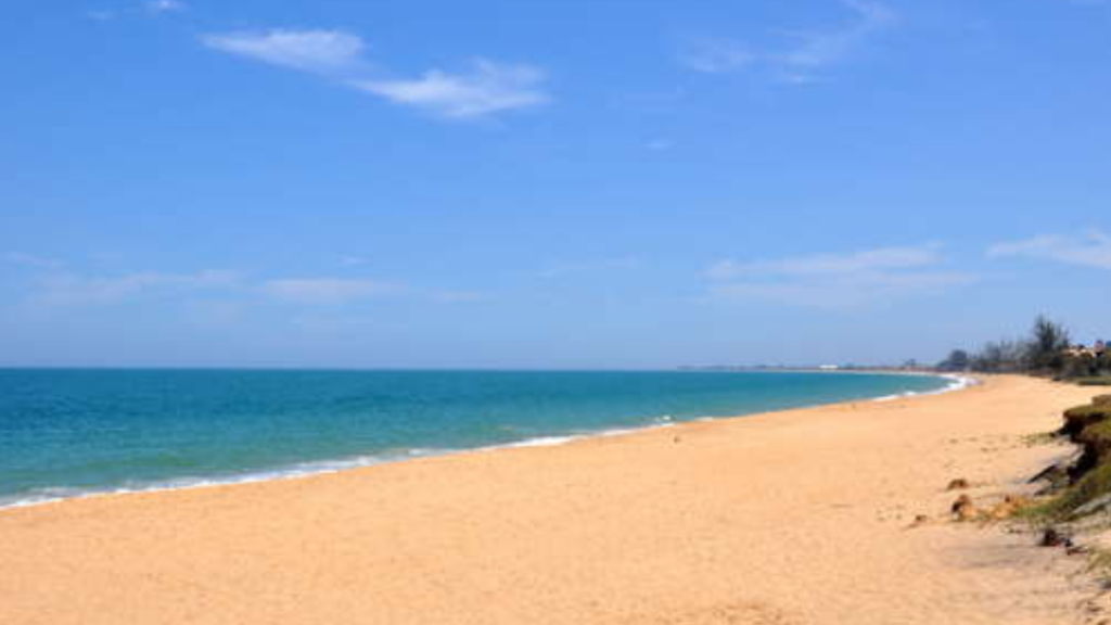 Praia das Tartarugas